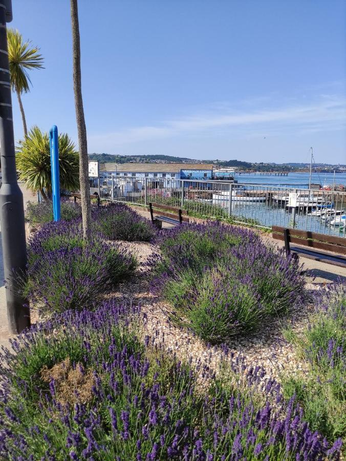 Cleve Court Hotel Paignton Dış mekan fotoğraf